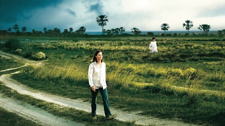 кадр из фильма Nordeste