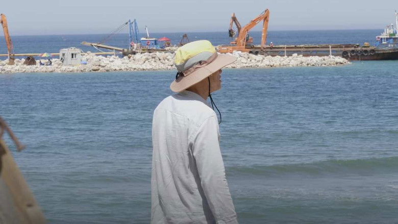 탄; 석탄의 일생