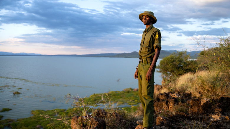 кадр из фильма Saving Giraffes: The Long Journey Home