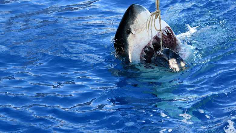 кадр из фильма Захватчики побережья