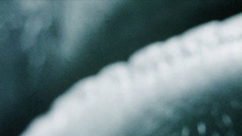 кадр из фильма An Architecture of Desire