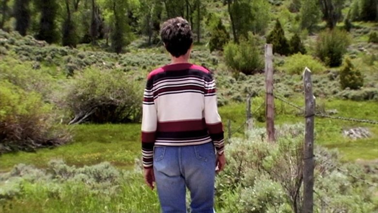 кадр из фильма Cameraperson