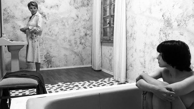 кадр из фильма Estilhaços