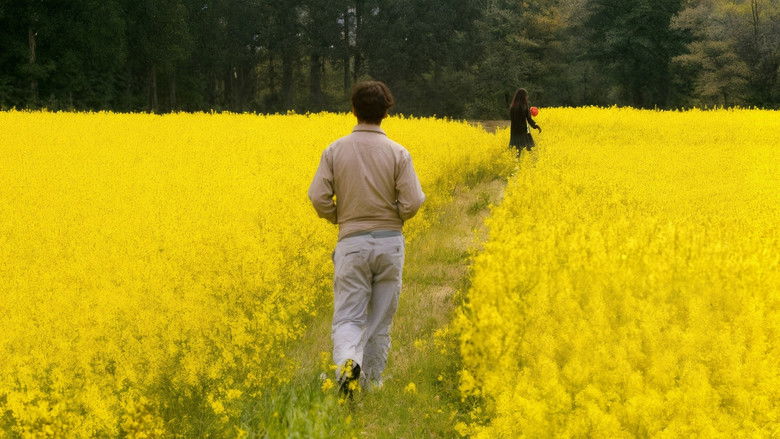 кадр из фильма 風の電話