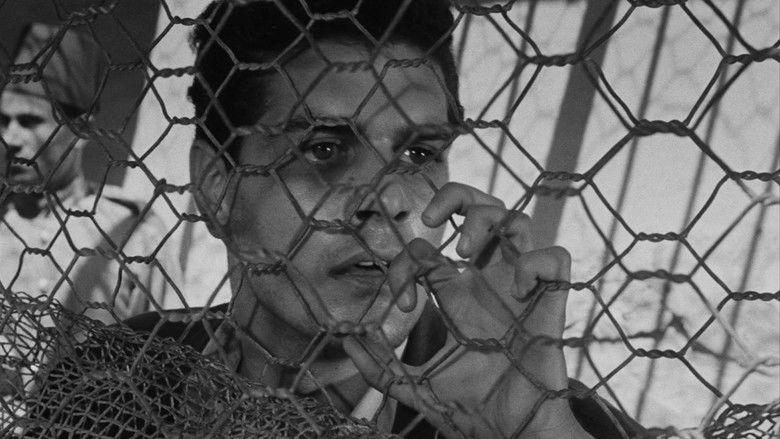 кадр из фильма Борьба в долине