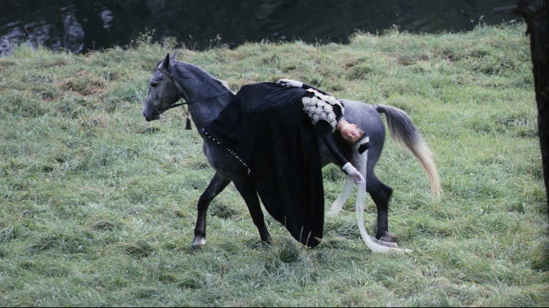 кадр из фильма Мой ласковый и нежный зверь