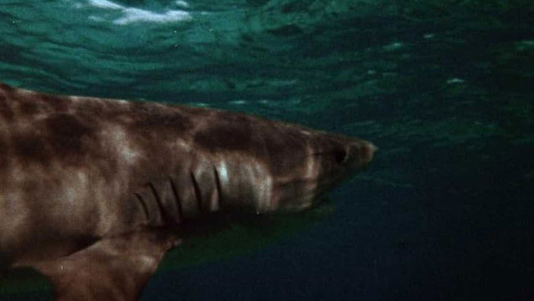 кадр из фильма Челюсти смерти