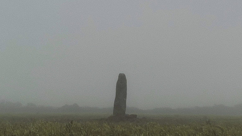 кадр из фильма A Year in a Field