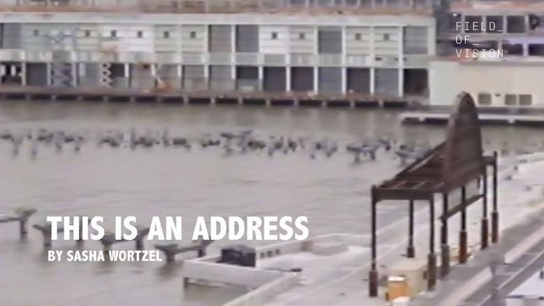 кадр из фильма This is an Address