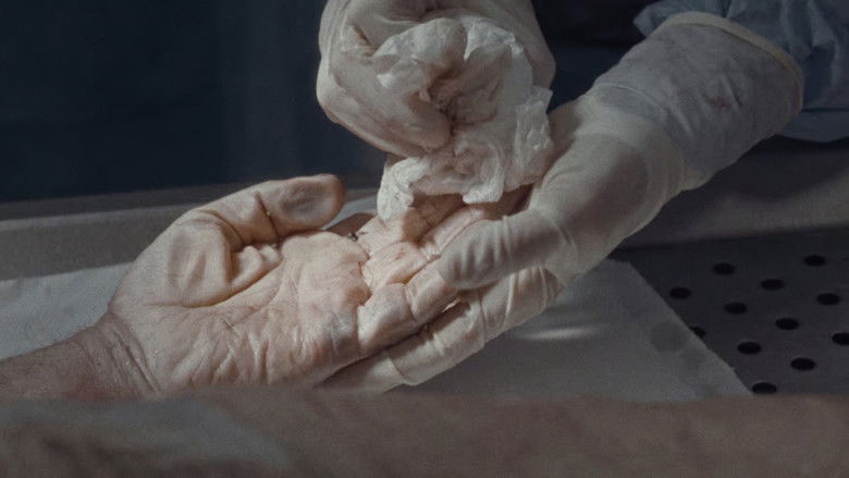 кадр из фильма Sconosciuti puri