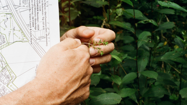 кадр из фильма Black Pond