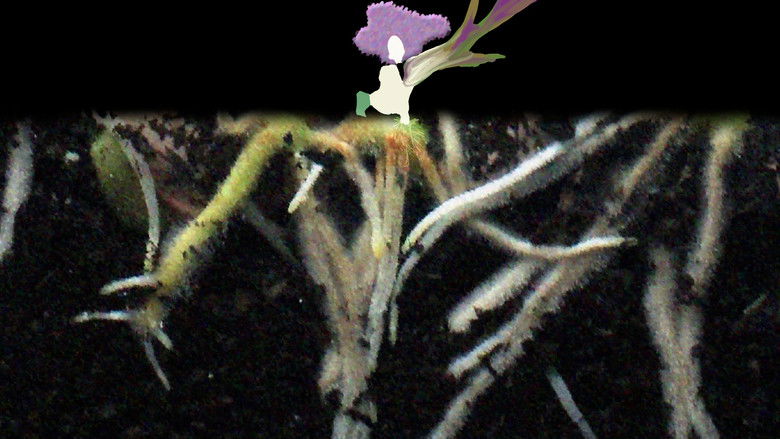 кадр из фильма Mauve Leaves