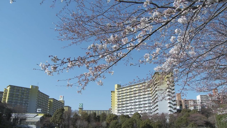 кадр из фильма ヘヴンズ ストーリー