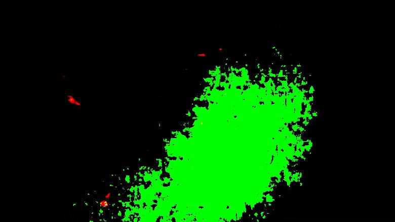 кадр из фильма Gaze in the State of Confusion