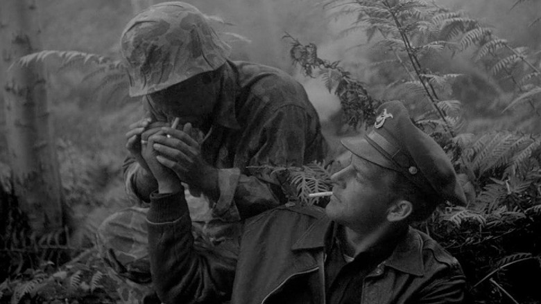 кадр из фильма Страх и вожделение