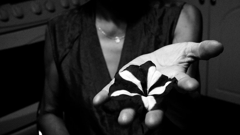 кадр из фильма PARAFRENÉTICA