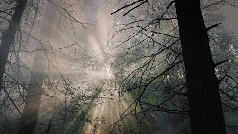 кадр из фильма The Lone Piper