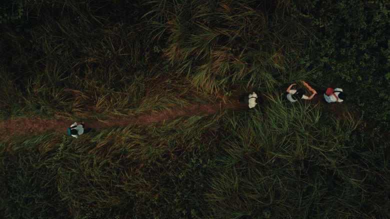 кадр из фильма Elephant Paths