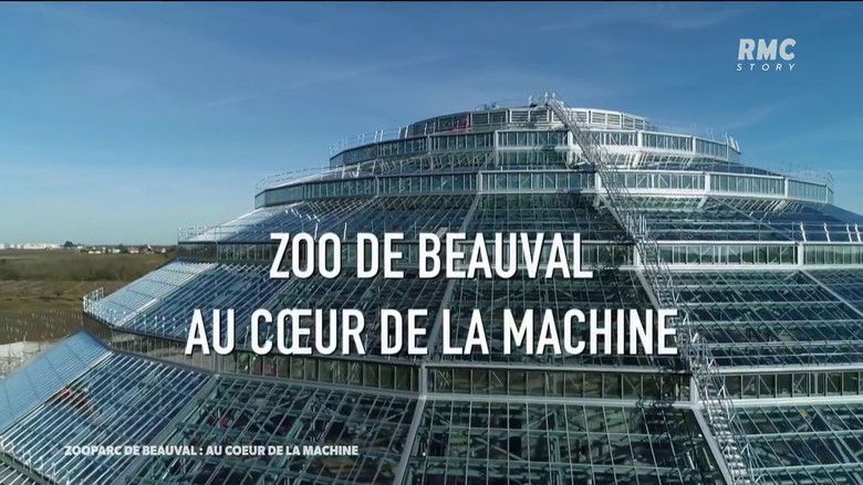кадр из фильма Zoo de Beauval : Au cœur de la machine