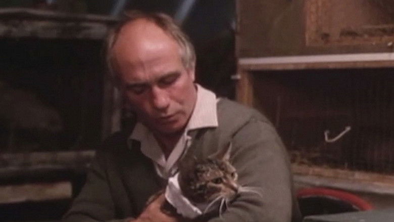 кадр из фильма Mr. Love