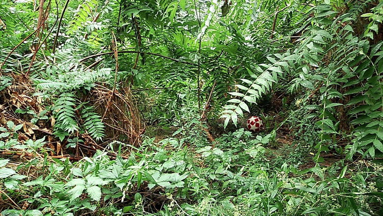 Τρία Ρέματα