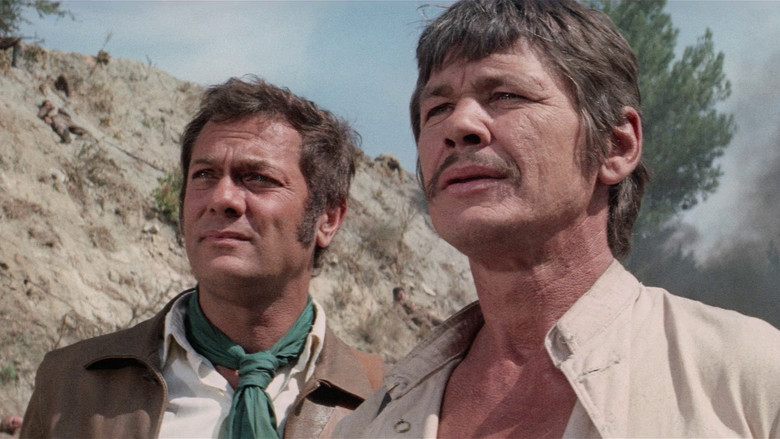 кадр из фильма Ты не сможешь победить их всех