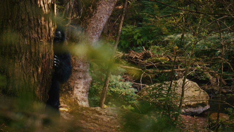 кадр из фильма Willow Creek