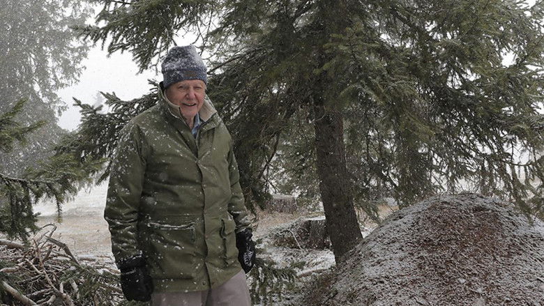 кадр из фильма Attenborough and the Empire of the Ants