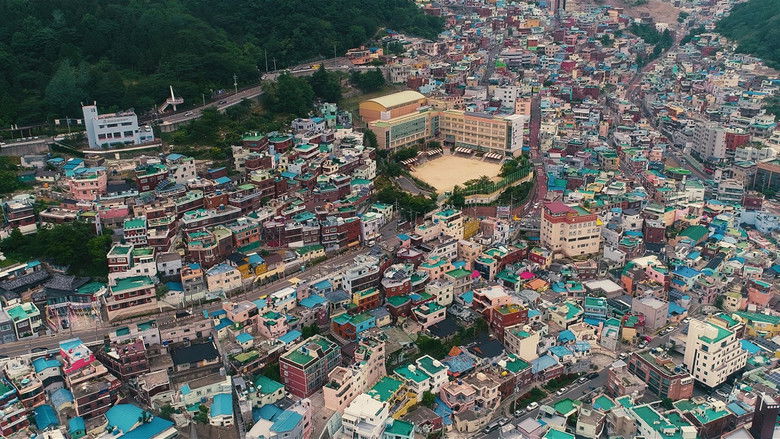 청년 졸업 에세이