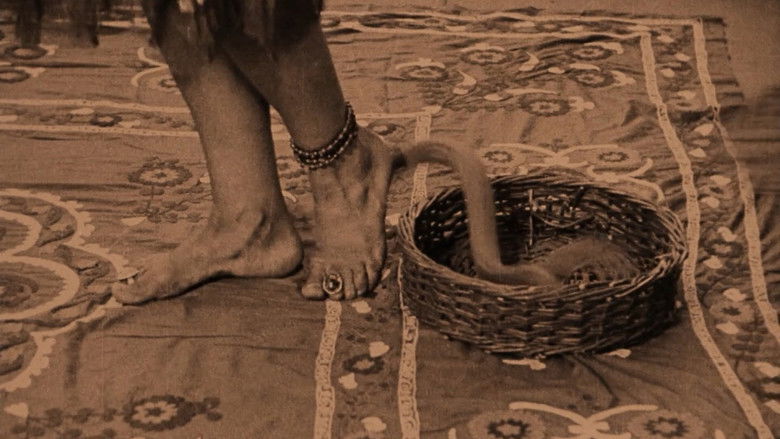 кадр из фильма Индийская гробница 2