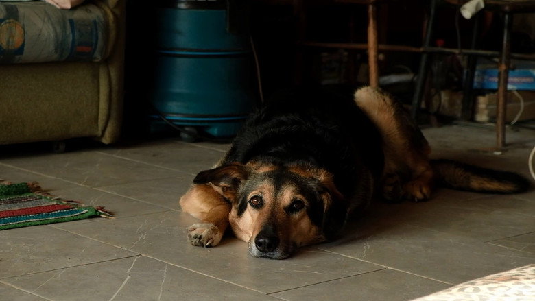 кадр из фильма Оператор