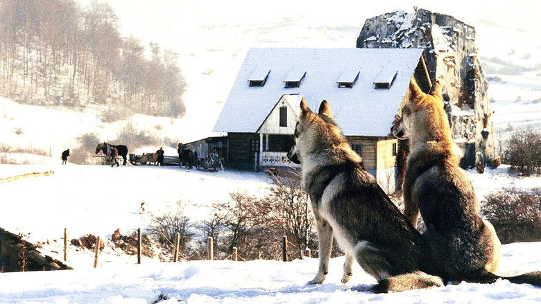 Неясная весть о конце света