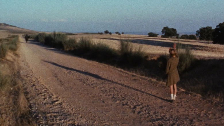 кадр из фильма Траз-уж-Монтиш