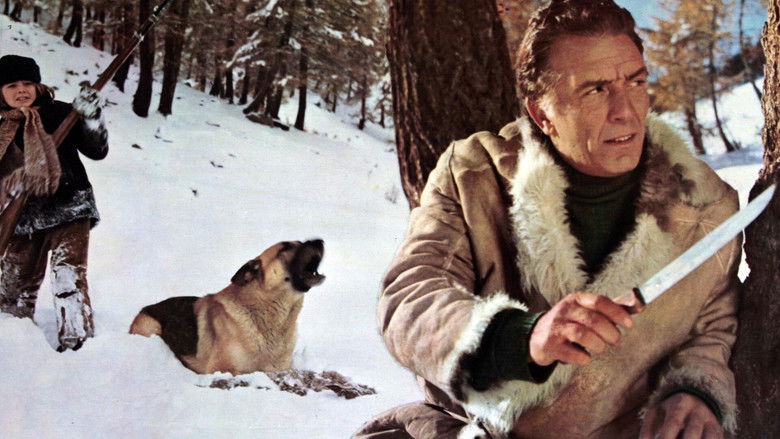 кадр из фильма Il richiamo del lupo