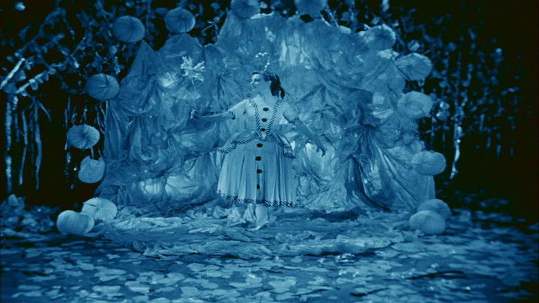 кадр из фильма Rabbit's Moon