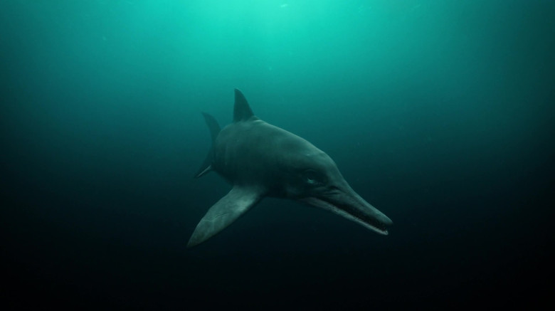 кадр из фильма Attenborough and the Sea Dragon