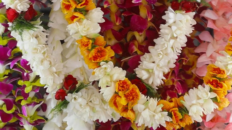 кадр из фильма My Chinatown, With Aloha