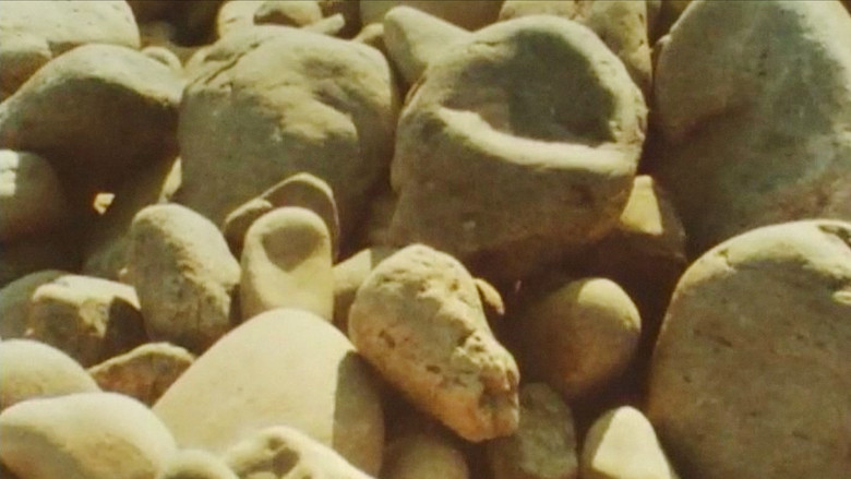 кадр из фильма STORNS