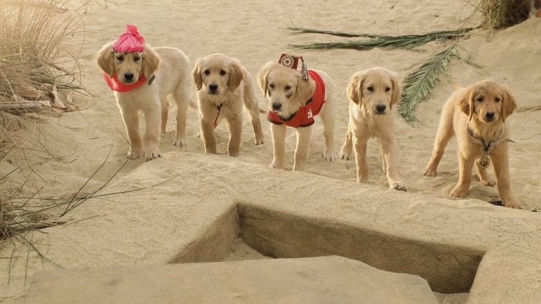 Пятерка кладоискателей