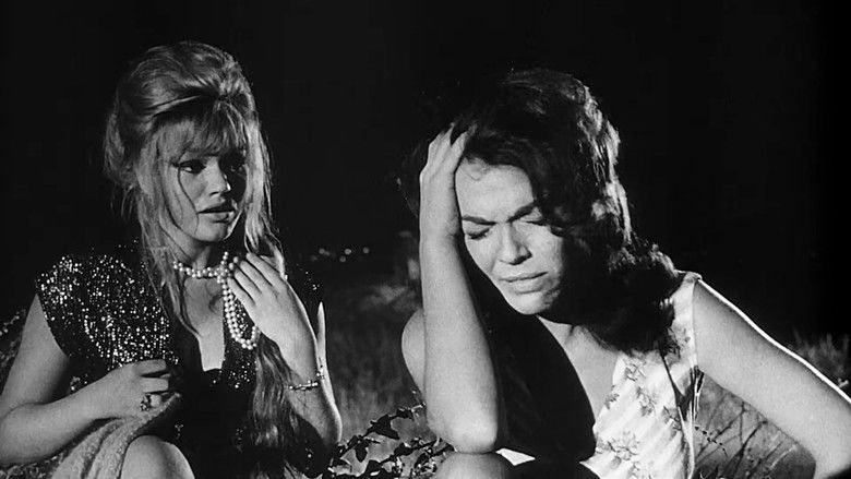 кадр из фильма Le massaggiatrici