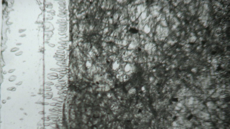 кадр из фильма Tactile Light Diary