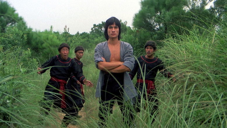 кадр из фильма Пять мастеров Шаолиня