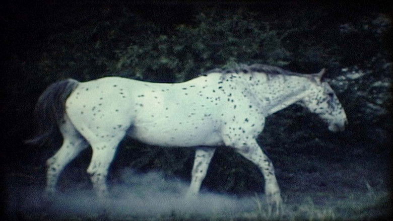 кадр из фильма Das Summen der Insekten