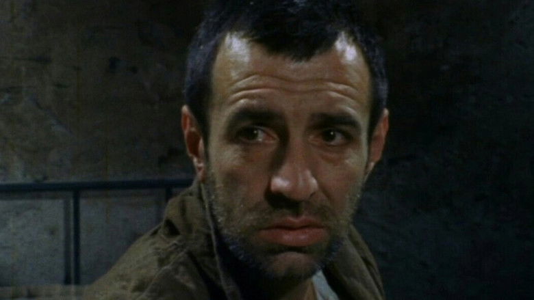 кадр из фильма Paviljon broj VI