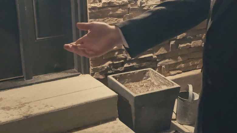 кадр из фильма Everything Must Be Perfect