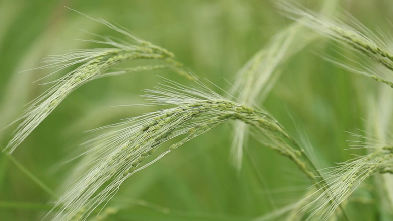 кадр из фильма 미인