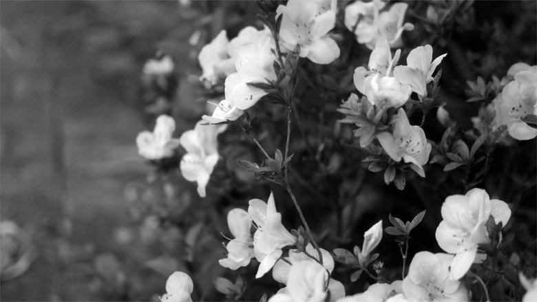 (not so) Stills.