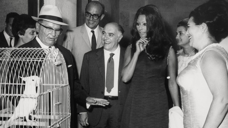 кадр из фильма Koki, Ciao