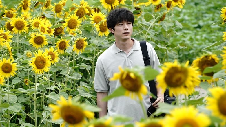 кадр из фильма 盤上の向日葵