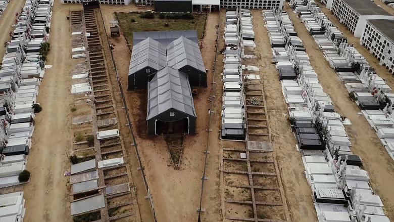 кадр из фильма Pico Reja: la verdad que la tierra esconde